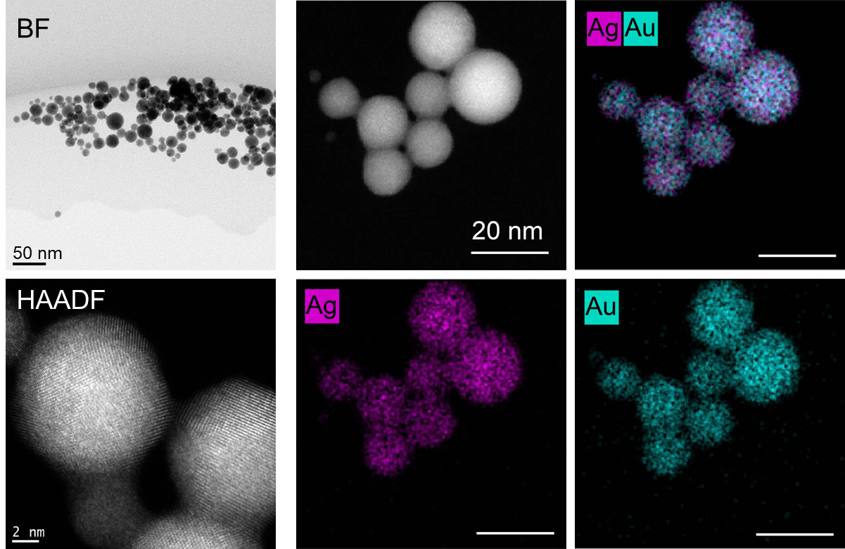 サンプル画像 金－銀合金ナノ粒子