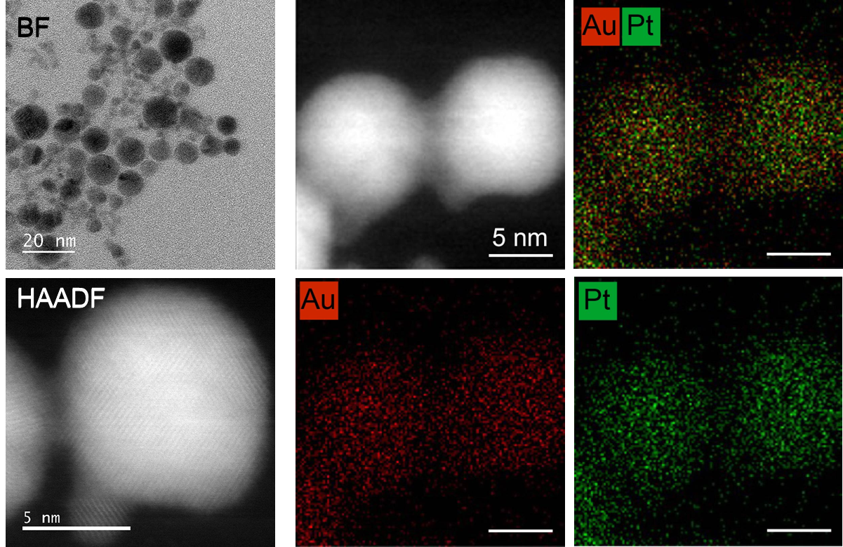 サンプル画像 金－白金合金ナノ粒子