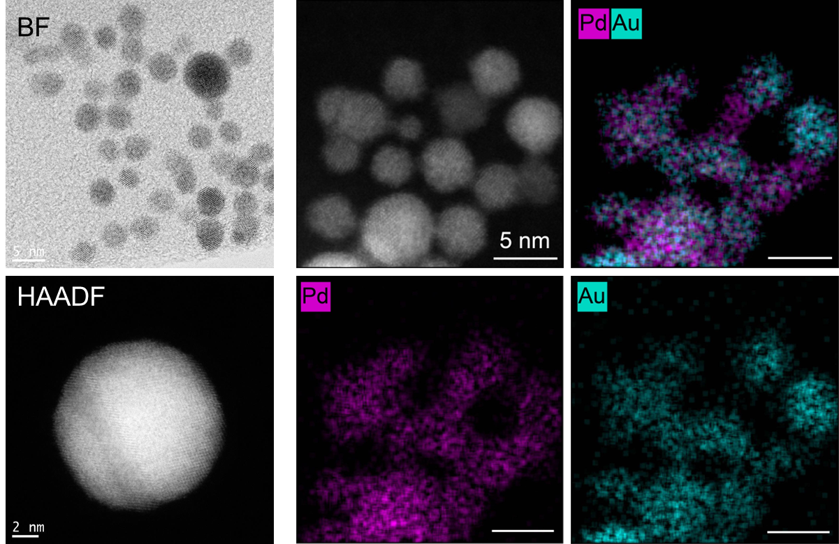 サンプル画像 金－パラジウム合金ナノ粒子