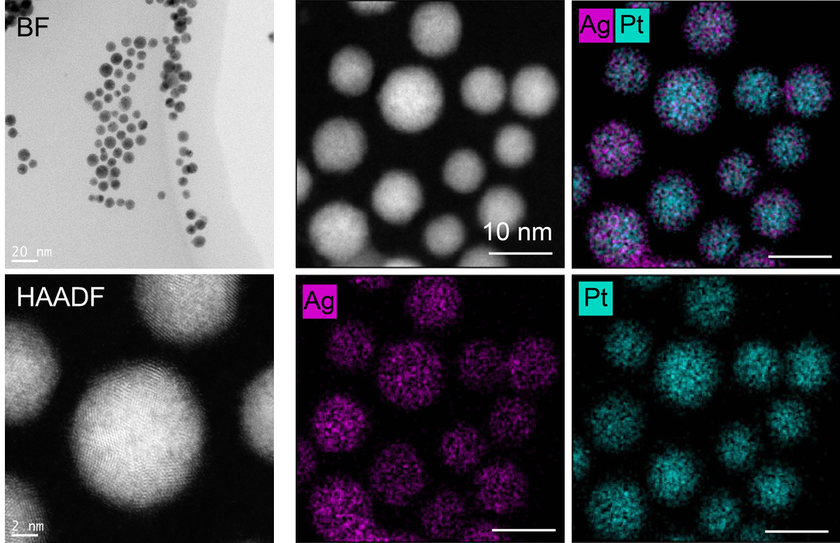 サンプル画像 銀－白金合金ナノ粒子