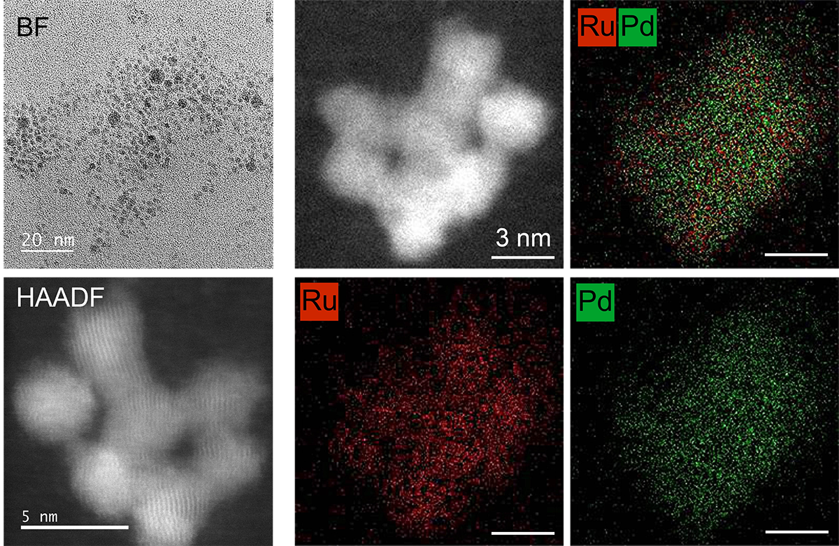 サンプル画像 ルテニウム－パラジウム合金ナノ粒子